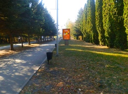 Сторона Б